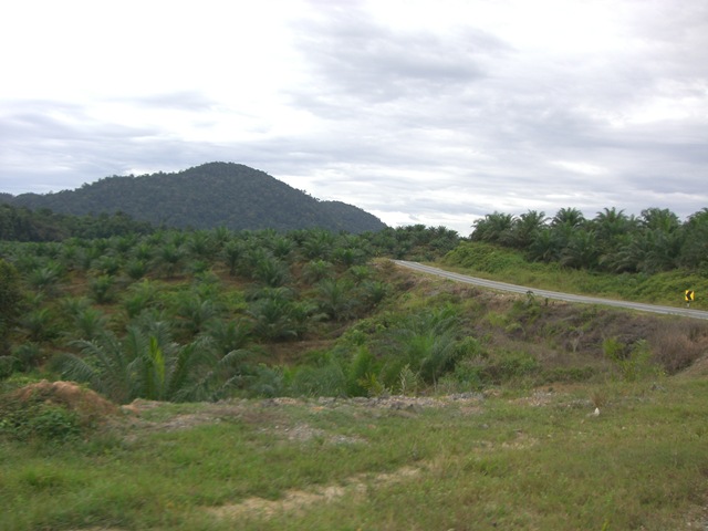 [01DrivetoTamanNegara27.jpg]