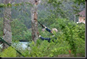 03 Canopy Walk (16)
