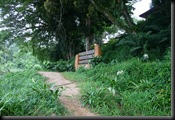 03 Canopy Walk (31)