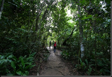 03 Canopy Walk (59)