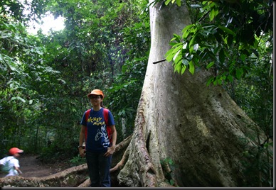 03 Canopy Walk (105)