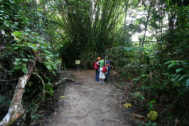 [03CanopyWalk885.jpg]