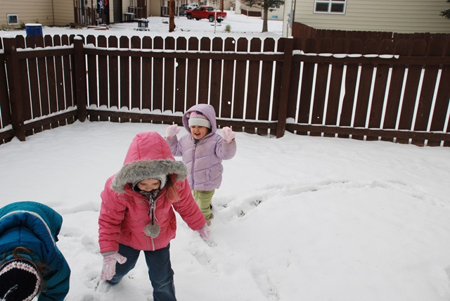 [DSC_0004[3].jpg]