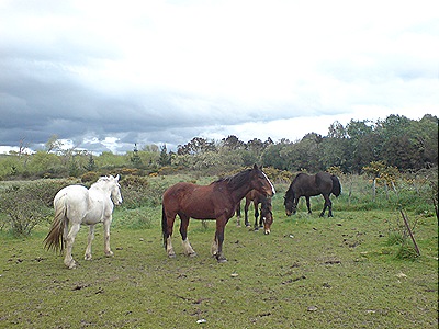 DSC04765