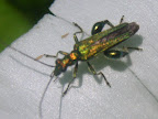 RSCN0049.JPG