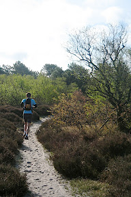 t' Kleine Ganzenveld - Parcours Ganzelveldwandeling - Groet Schoorl Forêt et Dunes