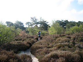 Kleine Ganzenveld - Parcours Ganzelveldwandeling - Groet Schoorl Forêt et Dunes