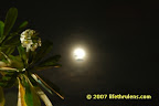 moon overshadowed moon overshadowed