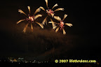 flowers in the sky flowers in the sky