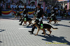 K-9 Unit K-9 Unit