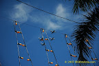 fighter jets fighter jets