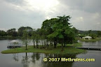 view from the cyberjaya lake side view from the cyberjaya lake side