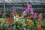 multitude of colors