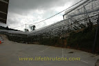 strawberry farm strawberry farm