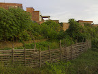 200809013274.jpg