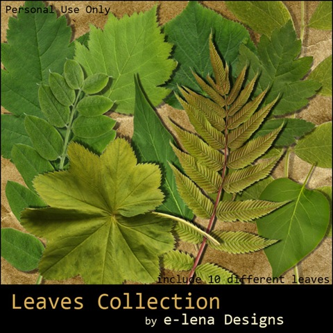 e-lena_Designs_Leaves_Collection_preview