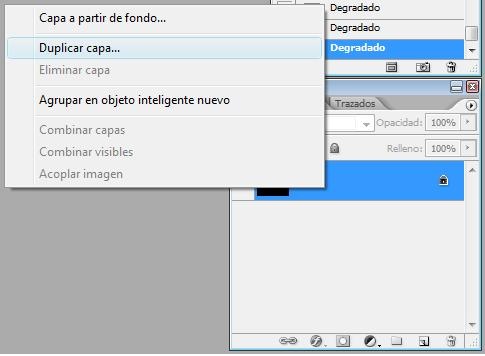 [duplicarcapa2.jpg]