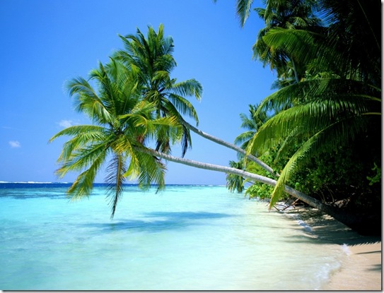 Playa_paradisiaca