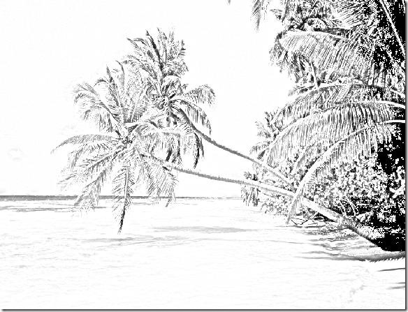 Playa_paradisiaca copia2