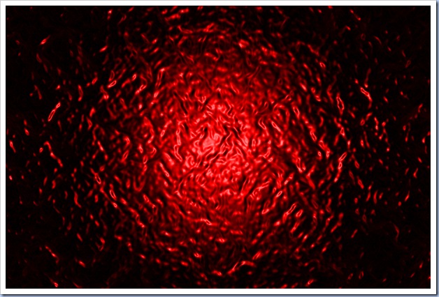 fondo de sangre