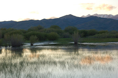 Pond reflecting mountains - near Fairfield, Idaho.