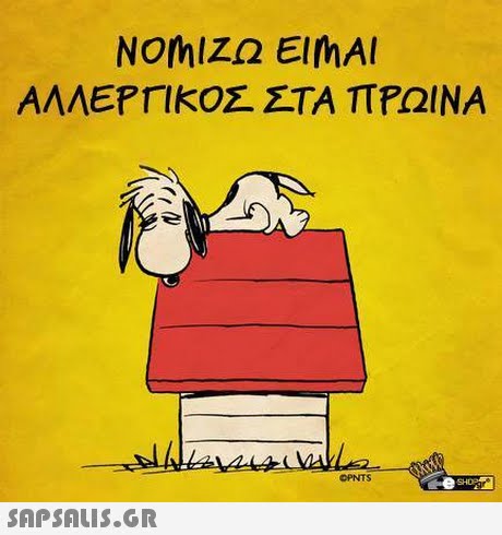 ΑΛΛΕΡΓΙΚΟΣ ΣΤΑ ΠΡΩΙΝΑ OPNTS