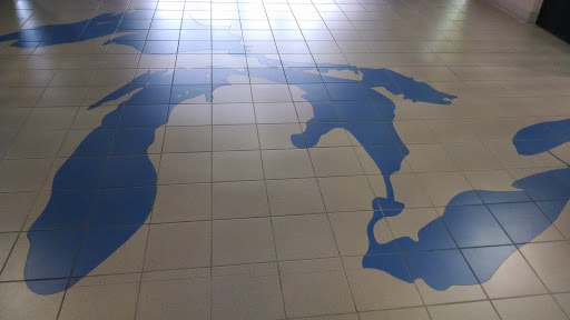Lakes of Michigan Floor Mural