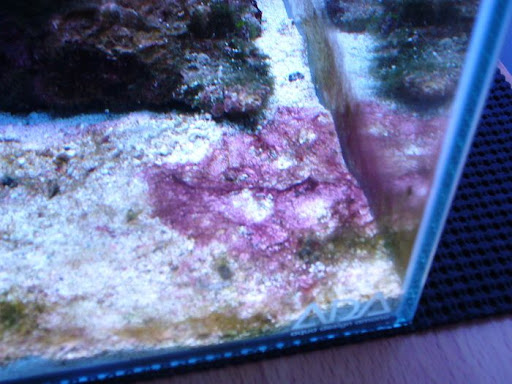 P1030857%205.2.jpg