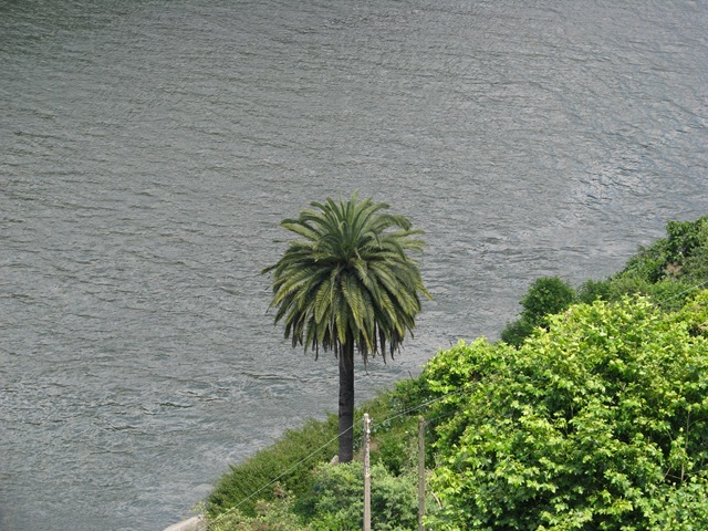 [2008.06_porto_pilar_fontainhas_013[3].jpg]