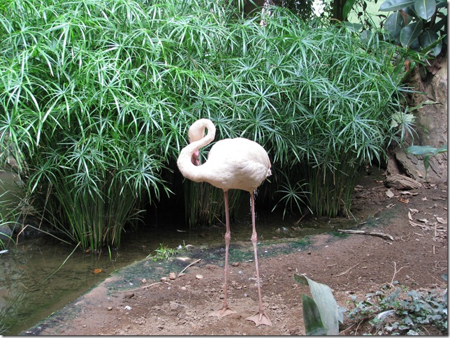 2008.08.04_parquebiologicodegaia_0007