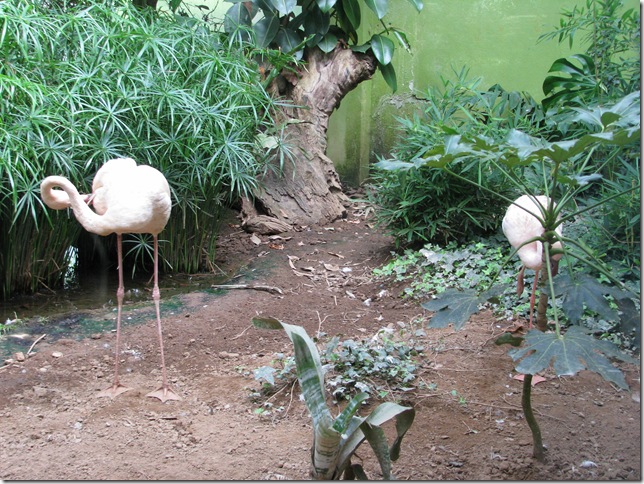 2008.08.04_parquebiologicodegaia_0008
