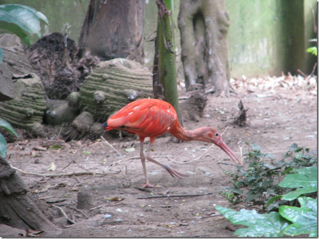 2008.08.04_parquebiologicodegaia_0011