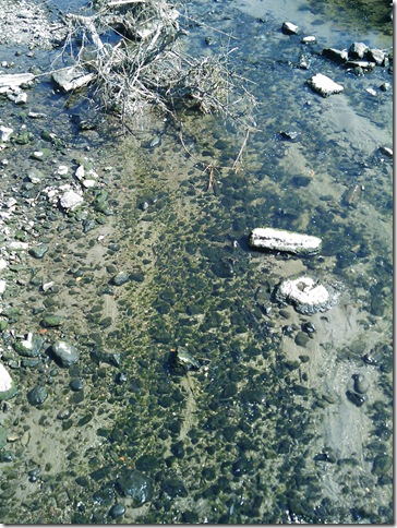 2008.09_riacho_06