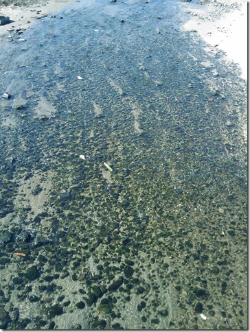 2008.09_riacho_07
