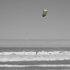 Windsurfer