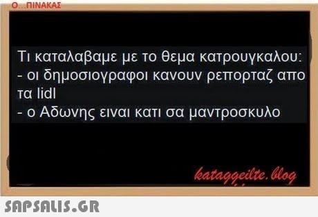 Τι καταλαβαμε με Το θεμα κατρουγκαλου: οι δημοσιογραφοι κανουν ρεπορταζ απο τα lidl ο Αδωνης ειναι κατι σα μαντροσκυλο bataggeilte. blog