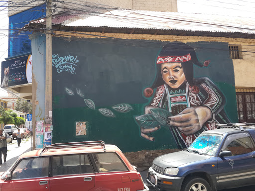 Mural Bolivia En Coca