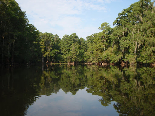 Kayaking On Hillsborough River
