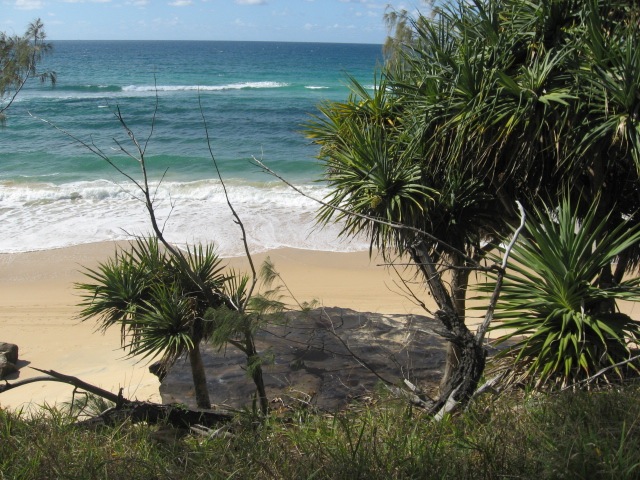 [RainbowBeach0772.jpg]