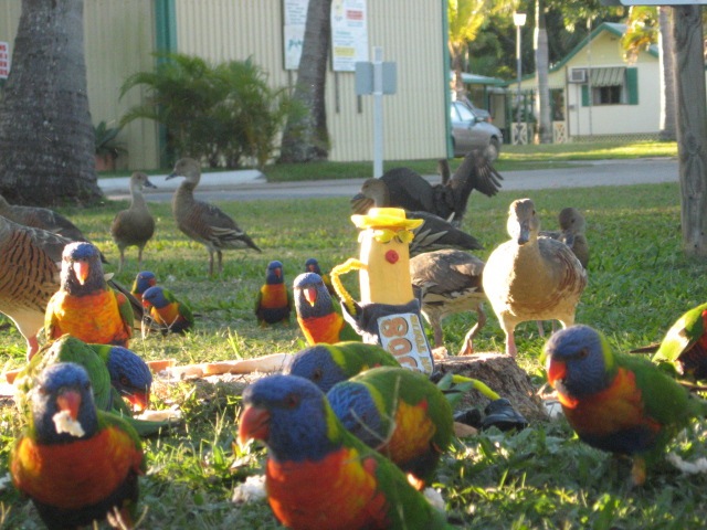 [MACKAY0472.jpg]