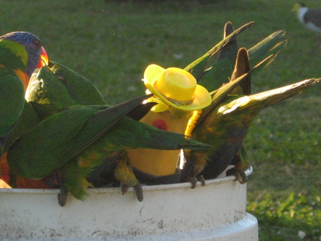 [MACKAY0752.jpg]