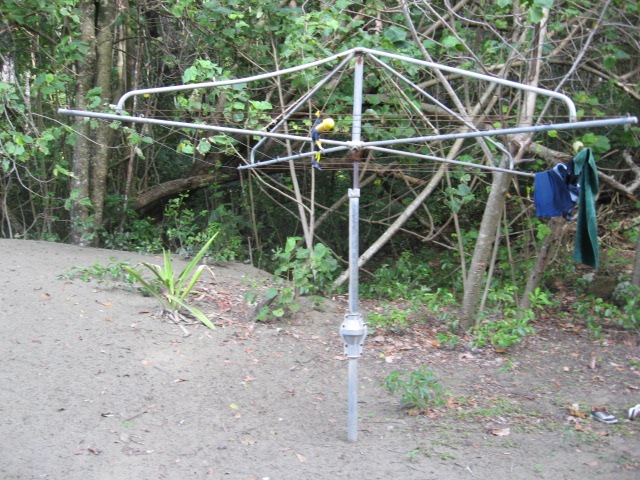 [CAPEHILLSBOROUGH0402.jpg]