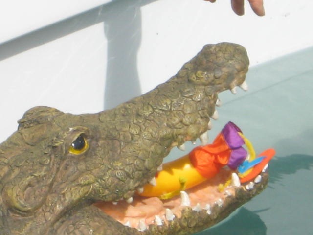 [AIRLIEBEACH0212.jpg]