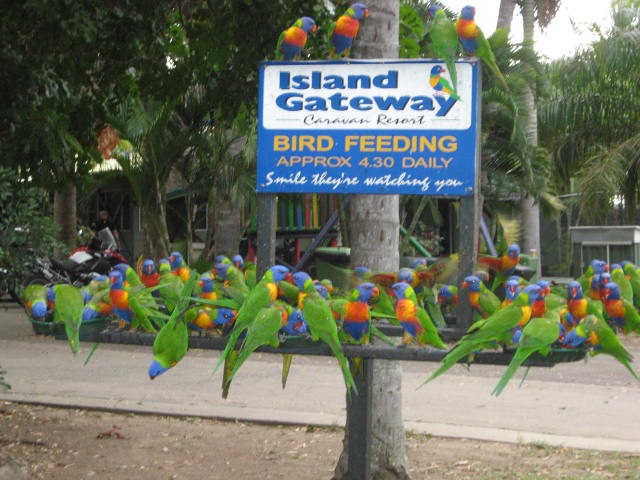 [ISLANDGATEWAY0102.jpg]