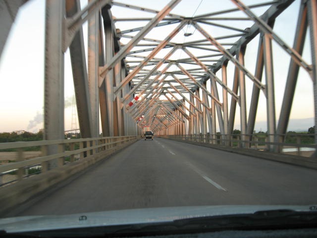 [CANE0062.jpg]