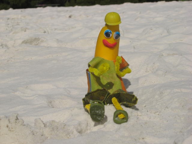 [VOYAGER0402.jpg]