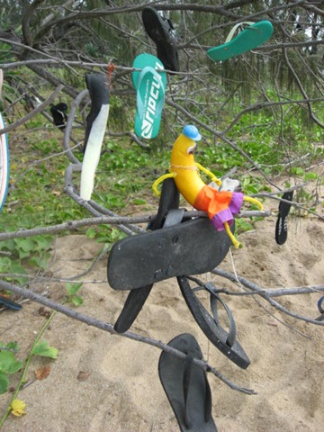 [CASSADYBEACH0402.jpg]