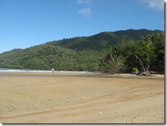 DAINTREE 031