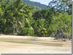 DAINTREE 032