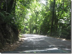 DAINTREE 023